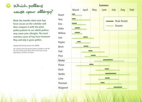 Hay Fever Season Chart